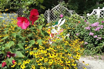 IMG_20220826_151636 (2)