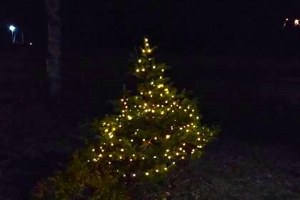 IMG_20241210_190838