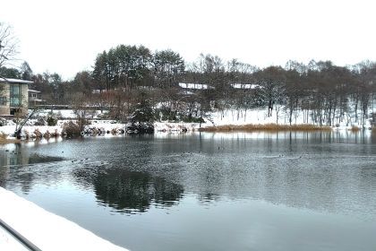 IMG_20250305_101800