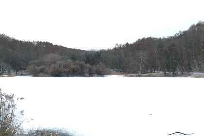 IMG_20260122_073927