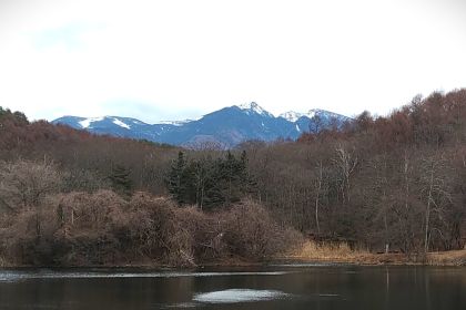 IMG_20260313_114630