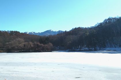 IMG_20260214_091110