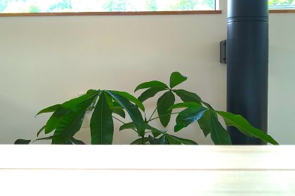 IMG_20250606_074425