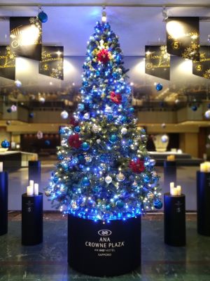 IMG_20221122_162224