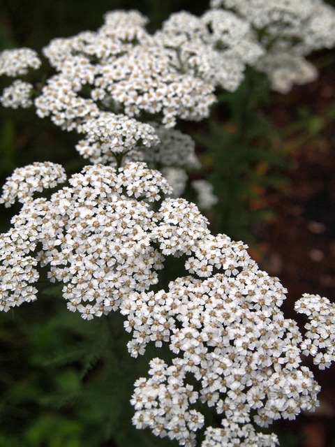P7016810