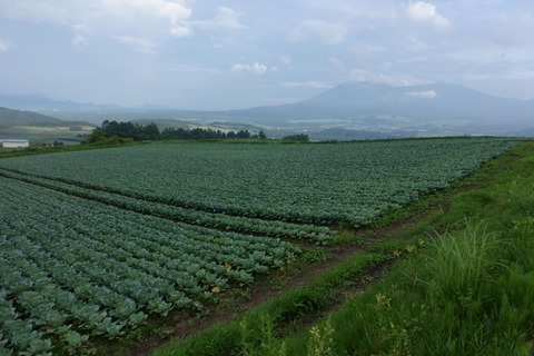 LD02-20200810-174156