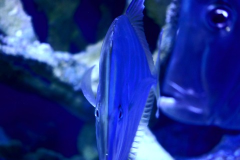 LD DSC02992