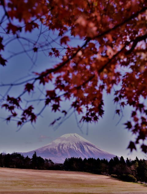 DSC_8624 (3)