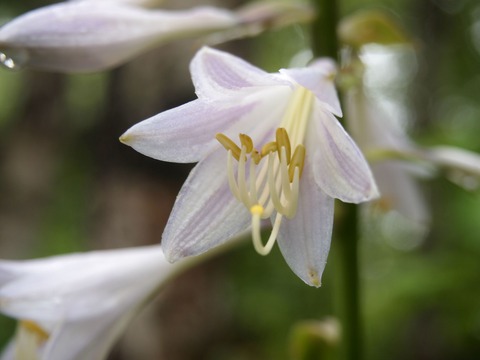 P7227231
