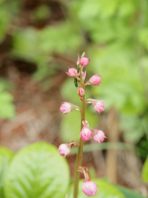 P6106767