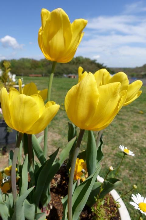 ldDSC06298