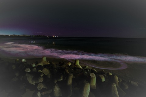 DSC_0793 (2)