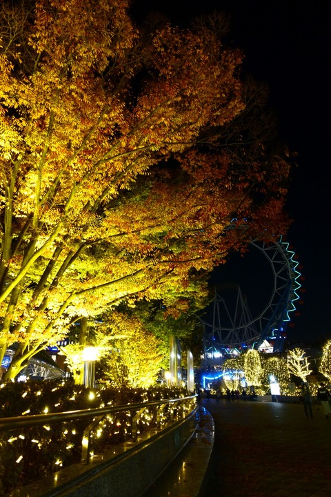 DSC05049