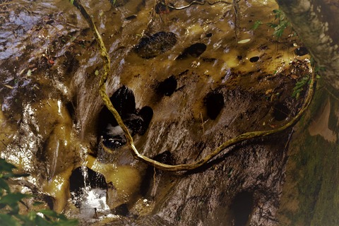 LD_7079