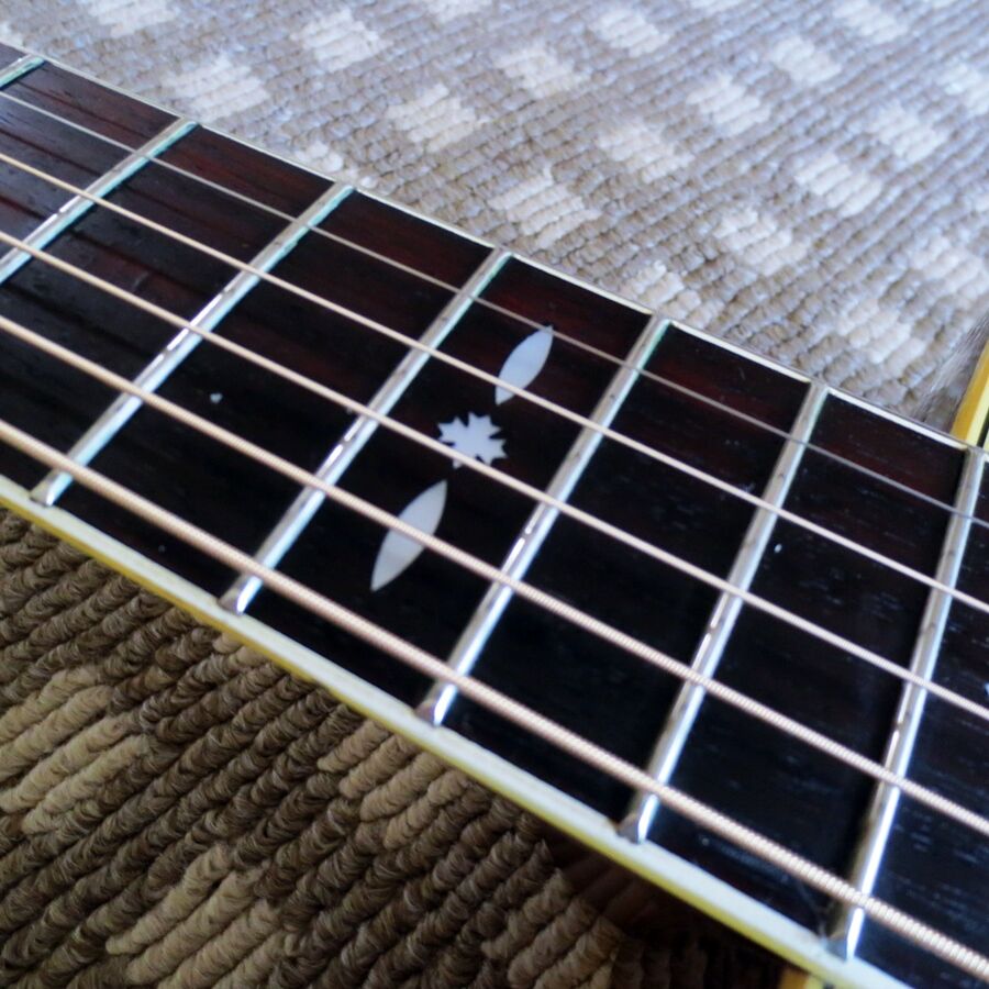 あの東海楽器が誇る1970年代Cat'sEyes CE-300 : おっさんの あの東海楽器が誇る1970年代Cat'sEyes CE-300 : おっさんの