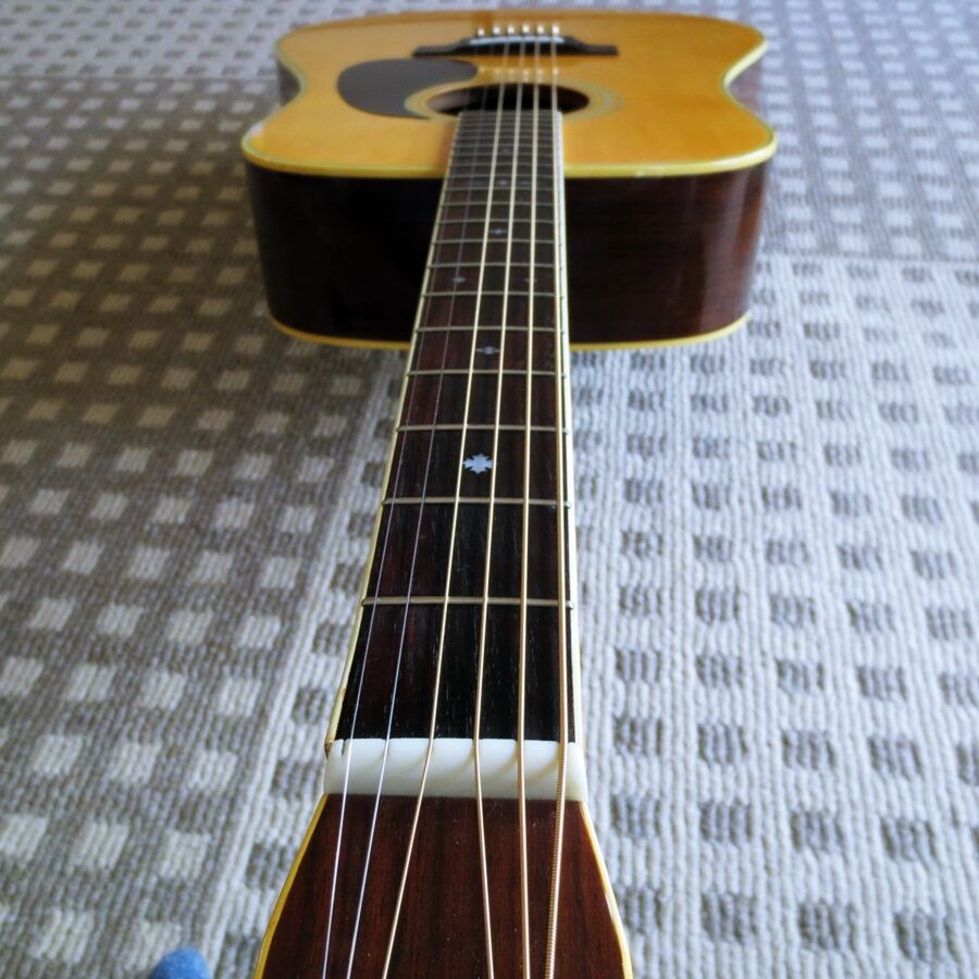 あの東海楽器が誇る1970年代Cat'sEyes CE-300 : おっさんの あの東海楽器が誇る1970年代Cat'sEyes CE-300 : おっさんの