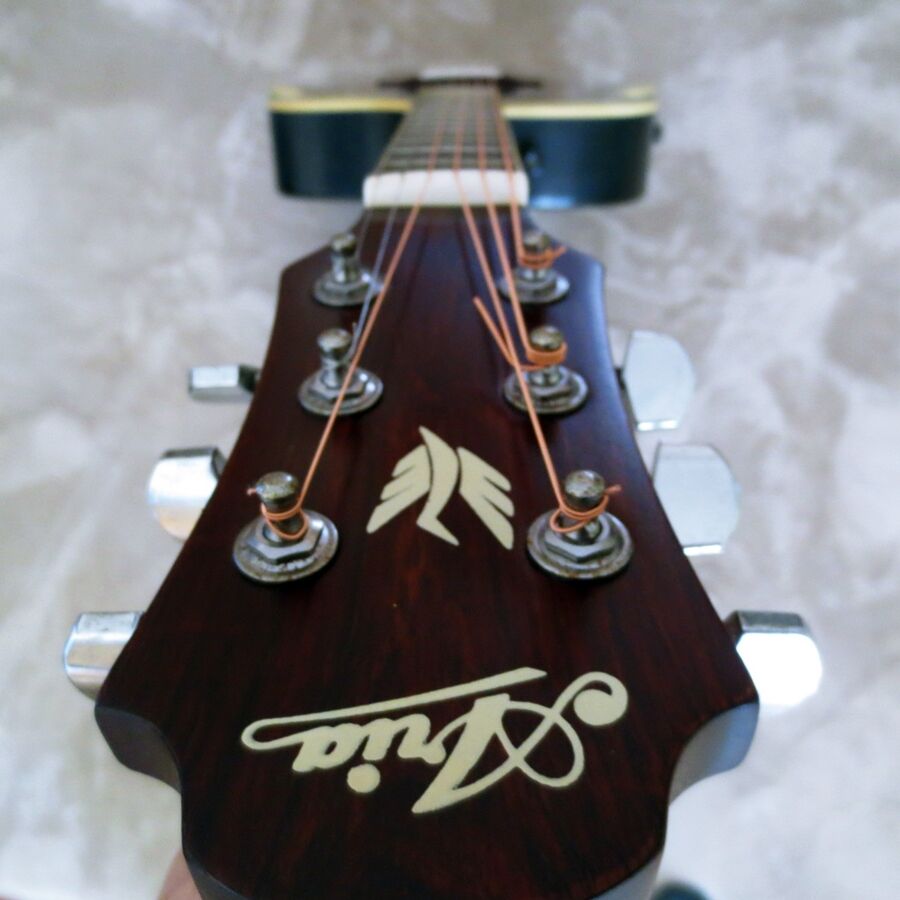 なかなか良い音エレアコ Aria AMB -35 : おっさんの徒然なる日々