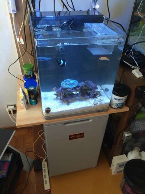 海道システム半リセット ナチュラル ミニタンクでgo カミハタ海道システム