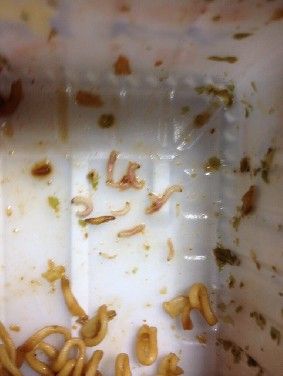 Twitter ペヤングの焼きそばにウジ虫が入ってた 炎上で逃亡 ペヤング 担当者が不在 ピザ速 食の最新情報
