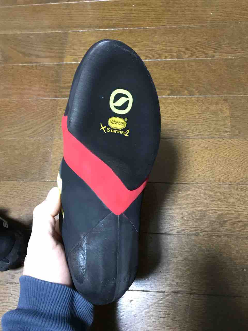 インスティンクトvs Women とアルピアとマエストロ いちゃりばちょーでー