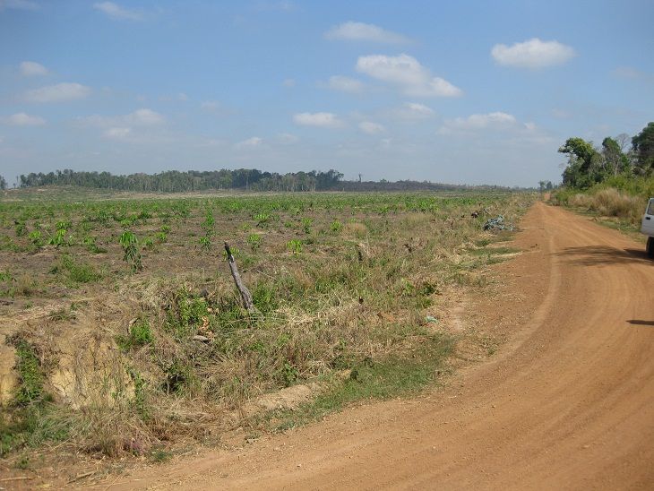 カンボジアで土地を購入する際の注意点 カンボジアどっぷり日記