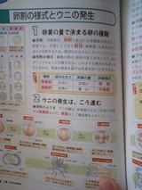 f81a15ed.jpg