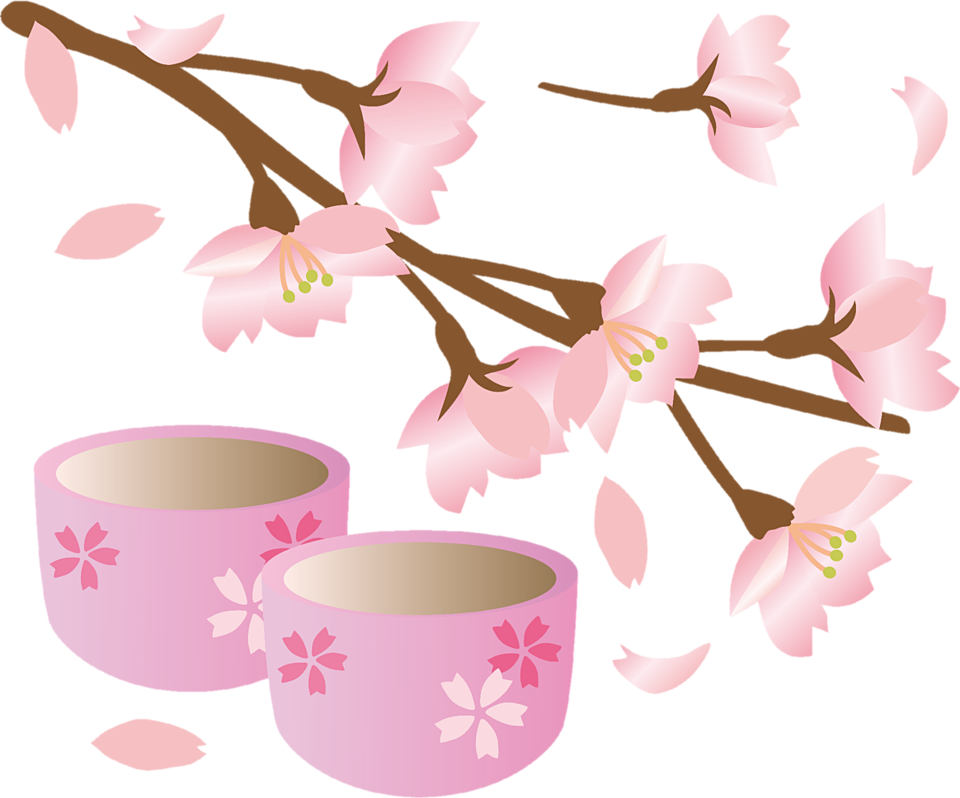 桜湯を飲んで家で春を感じる すこやか茶屋スタッフブログ 桜湯を飲んで家で春を感じる すこやか茶屋スタッフブログ
