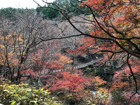 花貫渓谷