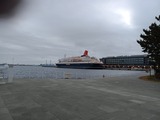 IMG_20260310_060443