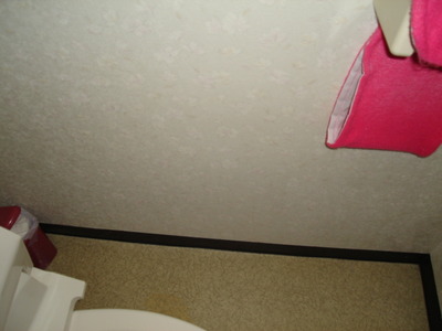 DSC00410 (640x480)