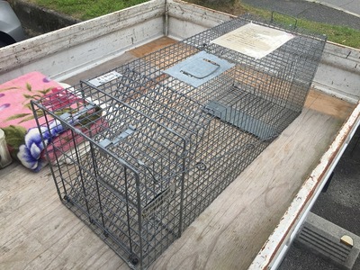 IMG_5749 - コピー