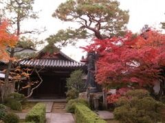 京都便利屋が撮影した妙心寺の紅葉1