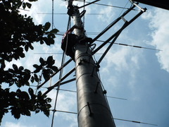 6a1a682f.jpg