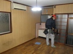 ca653038.jpg