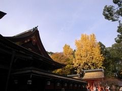 京都便利屋が撮影した北野天満宮の紅葉1