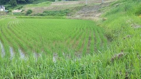 20150612_153758