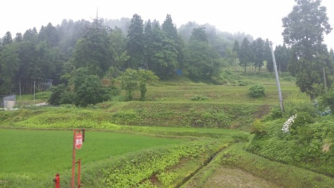 梅雨