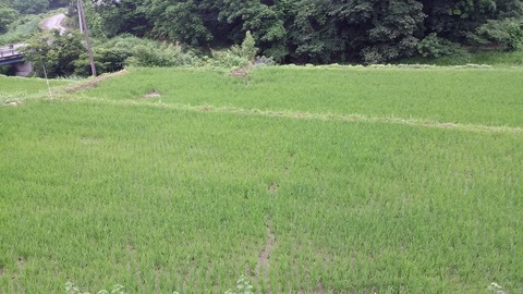 20150626_154011