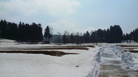 20150330_120138