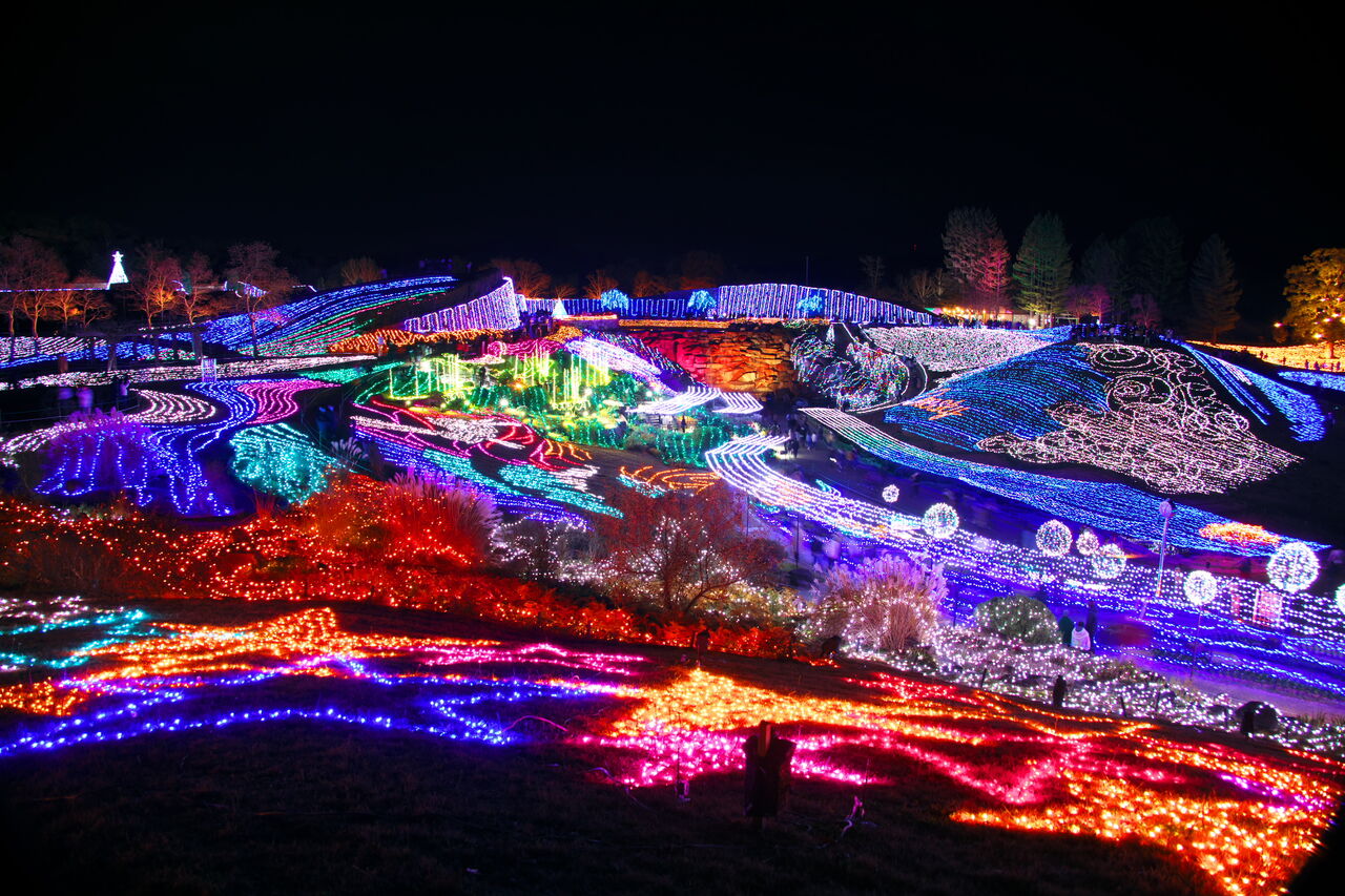 讃岐まんのう公園のイルミネーション Le Cahier De Je1ngi