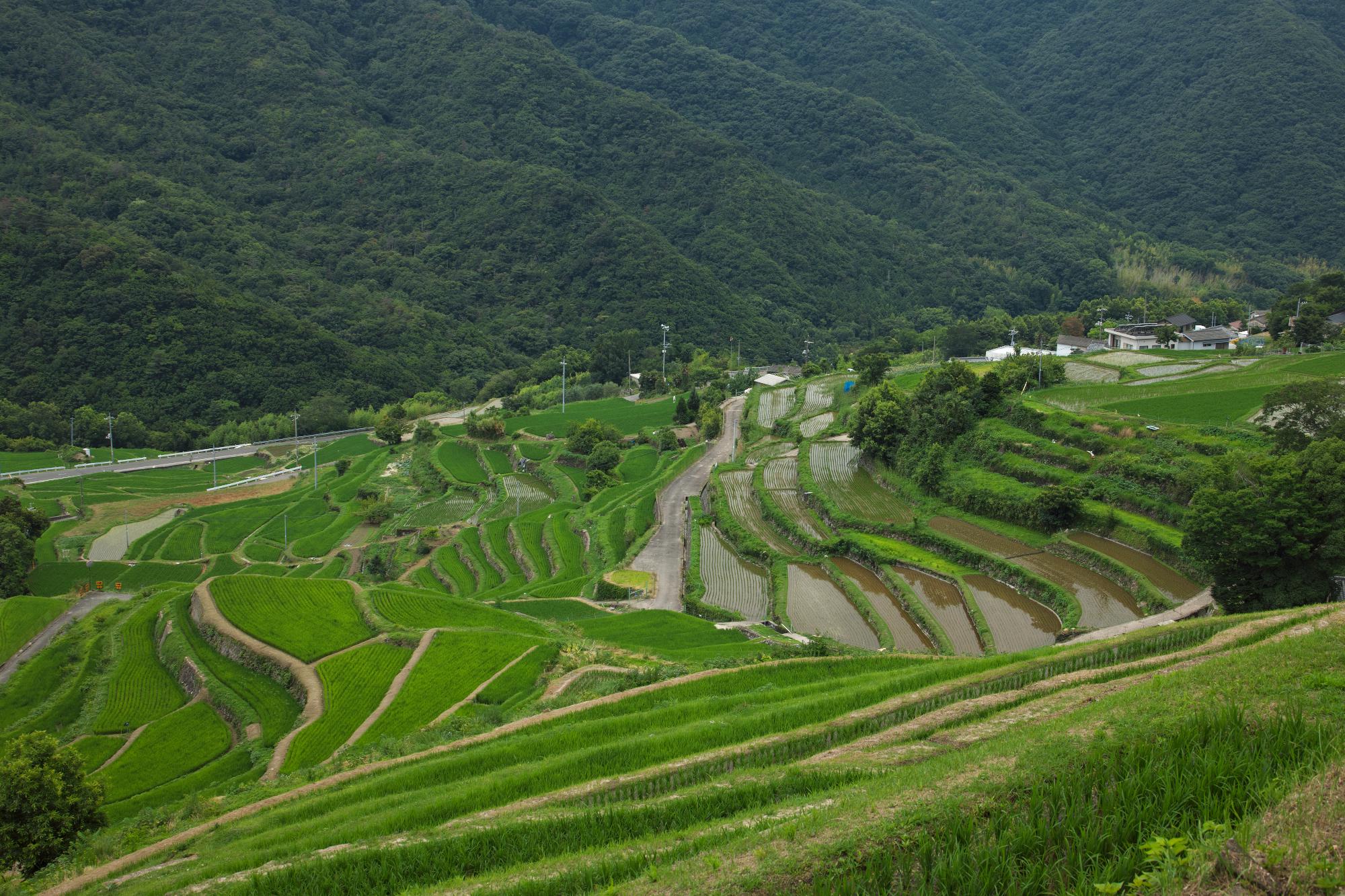 中山千枚田 Le Cahier De Je1ngi