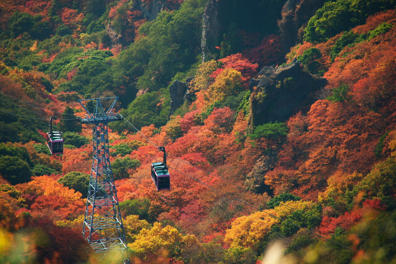 寒霞渓の紅葉 Le Cahier De Je1ngi