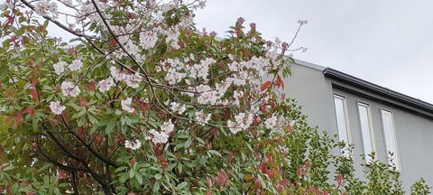 IMG20240328123213