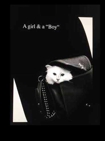 モードと猫 カール ラガーフェルド Karl Lagerfeld Choupette 好きです 薄い本