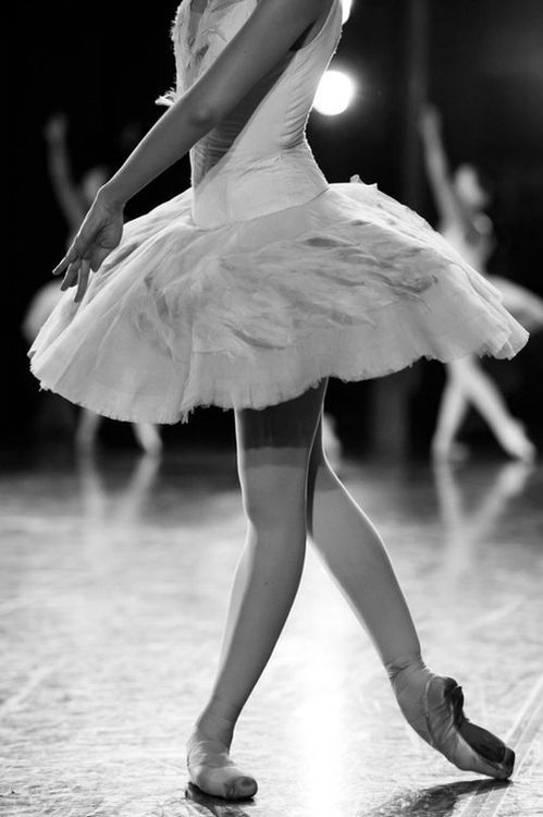 バレリーナ バレエ Ballet 画像 写真 脚 膝下 ポアント トゥシューズ その３ 好きです 薄い本