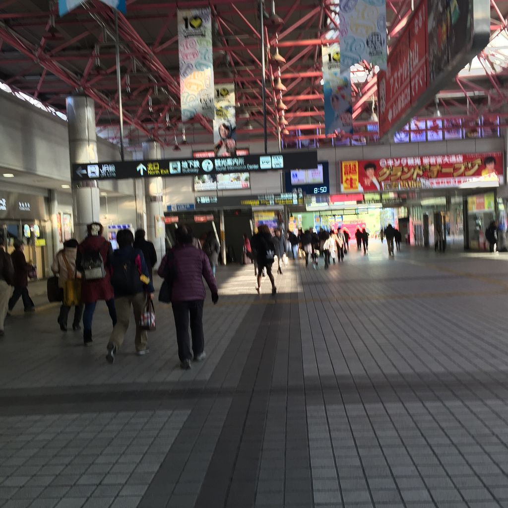 初売り 名古屋松坂屋店 しょぼりんはうす建築記 初売り 名古屋松坂屋店 しょぼりんはうす建築記