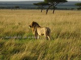 img_3_m