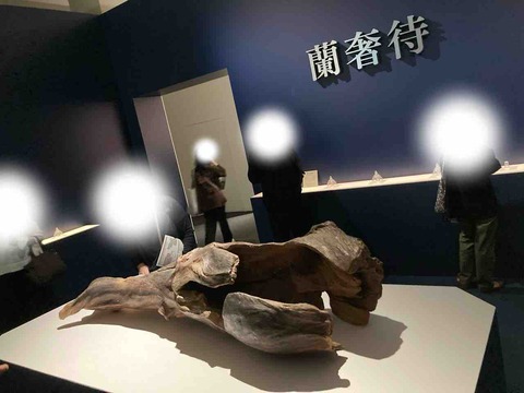 正倉院 THE SHOW 東京会場 at 上野の森美術館(2025/9/20〜11/9)