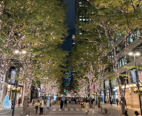 2025年12月収支(丸の内イルミネーション)