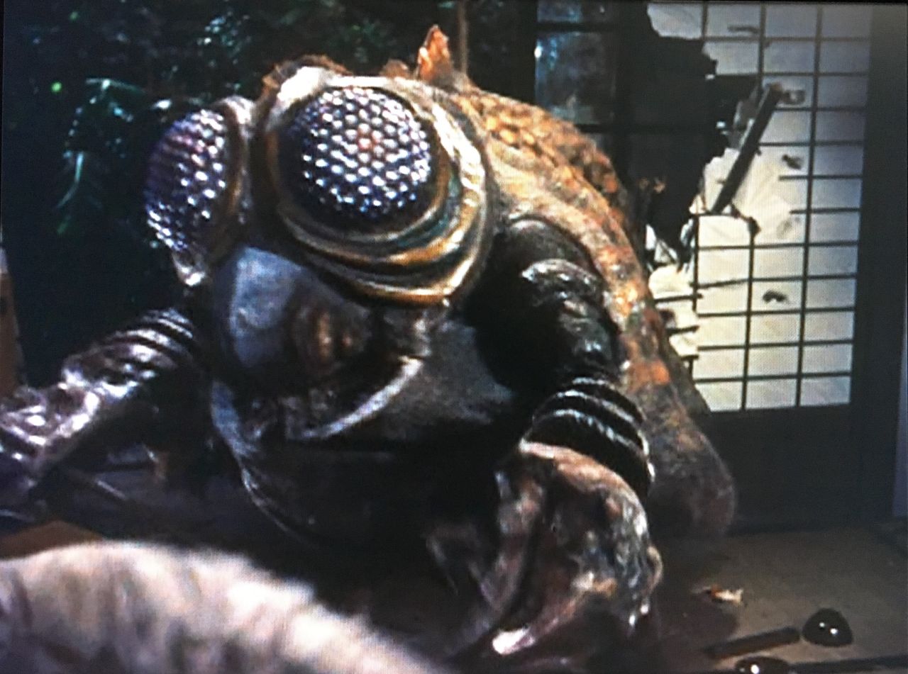 古代怪虫メガヌロン 阿蘇炭鉱の死闘 「空の大怪獣ラドン」 ゴジラ特撮大